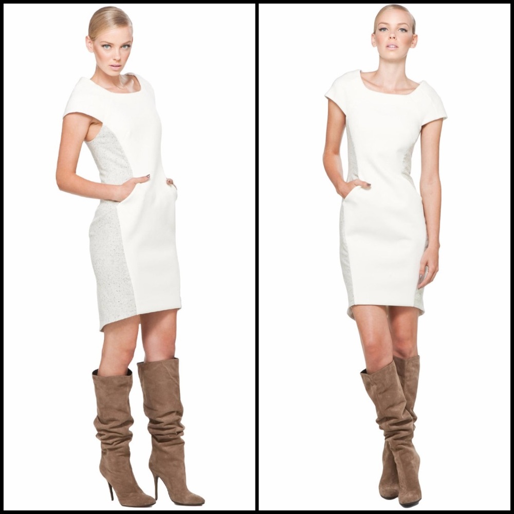Rag & Bone Wool Lamb’s Leather Trim Dress